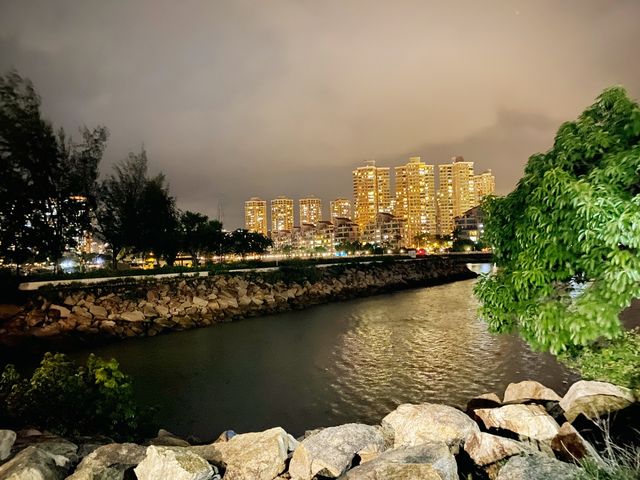 夜遊海豚廣場