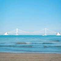 🌊아름다운 푸른바다와 해바라기가 함께하는곳 [부산, 광안리해수욕장/해변공원]🌻