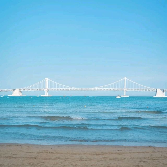 🌊아름다운 푸른바다와 해바라기가 함께하는곳 [부산, 광안리해수욕장/해변공원]🌻
