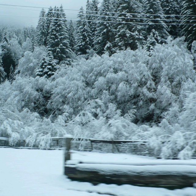 ski in stubai,Austria