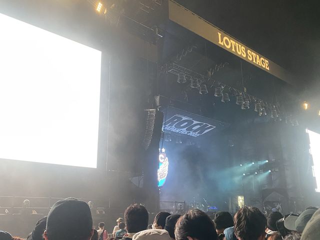 夏と言えば‼︎ROCK IN JAPAN FES.!!