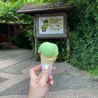 Bee-autiful Experience in Panglao