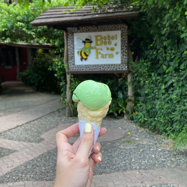 Bee-autiful Experience in Panglao