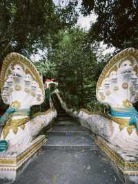 ตามรอยพระเจ้าตากสินมหาราช