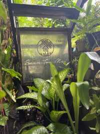 บ้านต้นไม้ คาเฟ่ The Tree House Café 