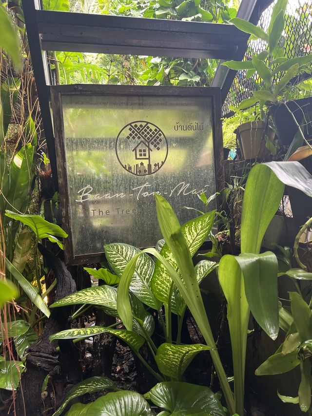 บ้านต้นไม้ คาเฟ่ The Tree House Café 