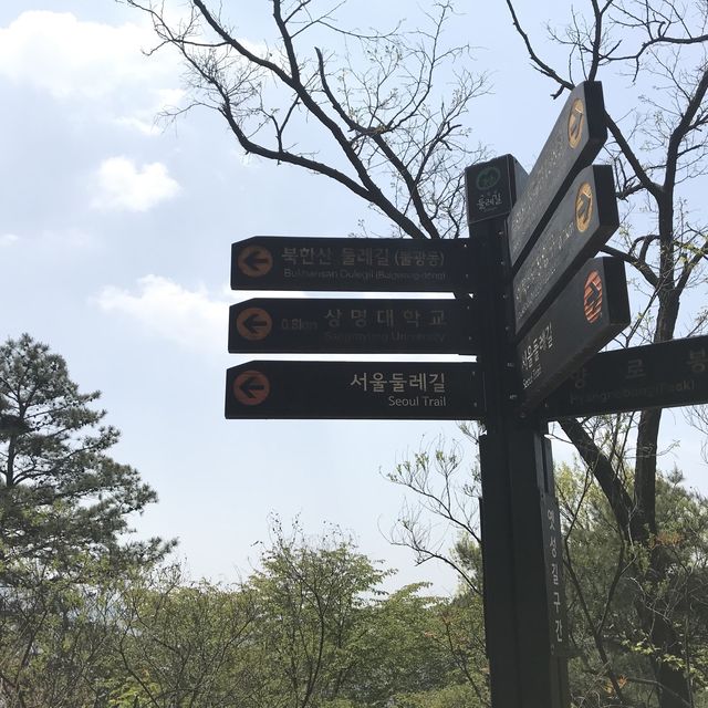풀내음이 뿜뿜한 북한산 들레길 걷기🫶🍀