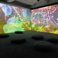 去大館扮去teamlab - 《潛入你眼簾— 皮皮樂迪‧里思特》,