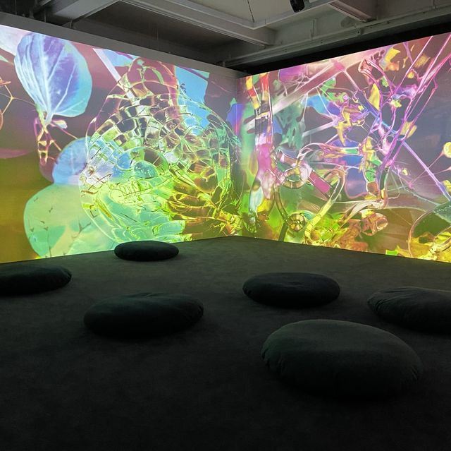 去大館扮去teamlab - 《潛入你眼簾— 皮皮樂迪‧里思特》,