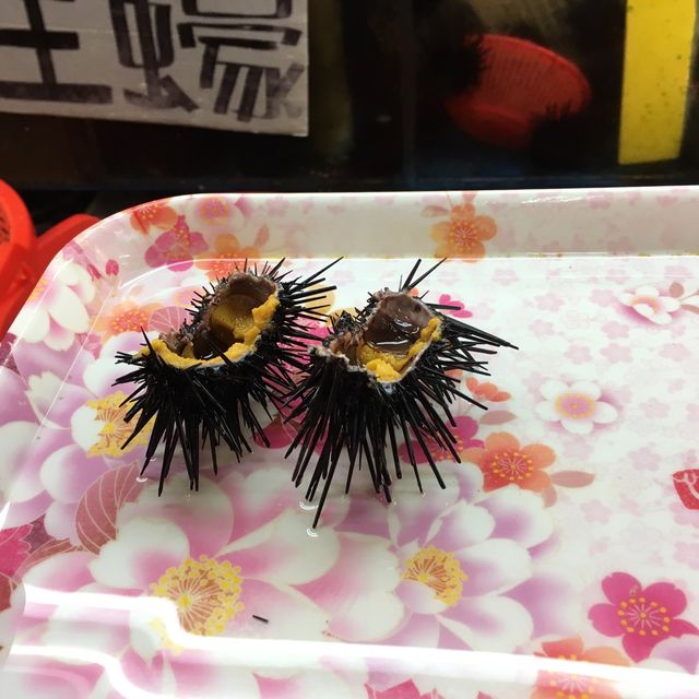 台北竹圍漁港平價新鮮海鮮魚生🥰