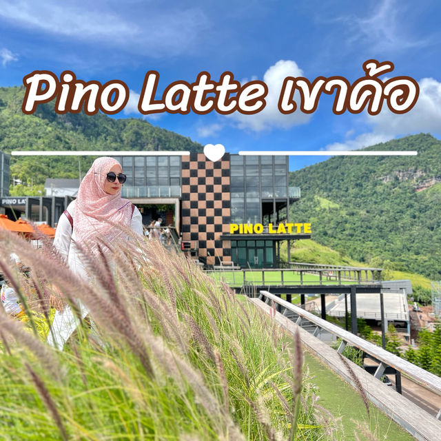  Pino Latte (พีโน่ ลาเต้) เขาค้อ