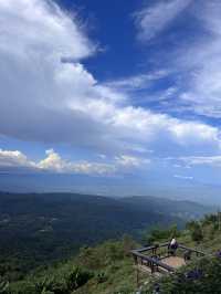 พาไปจิบกาแฟ ชมวิว ชมดอก กับคาเฟ่ชื่อดังบนม่อนแจ่ม⛰