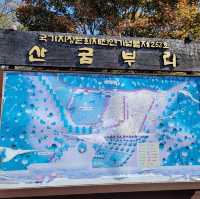 제주 억새밭 끝판왕은 여기, 산굼부리