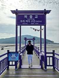 보라보라해💜세계 최우수 관광마을 전남신안 퍼플섬! 퍼플교💜💜