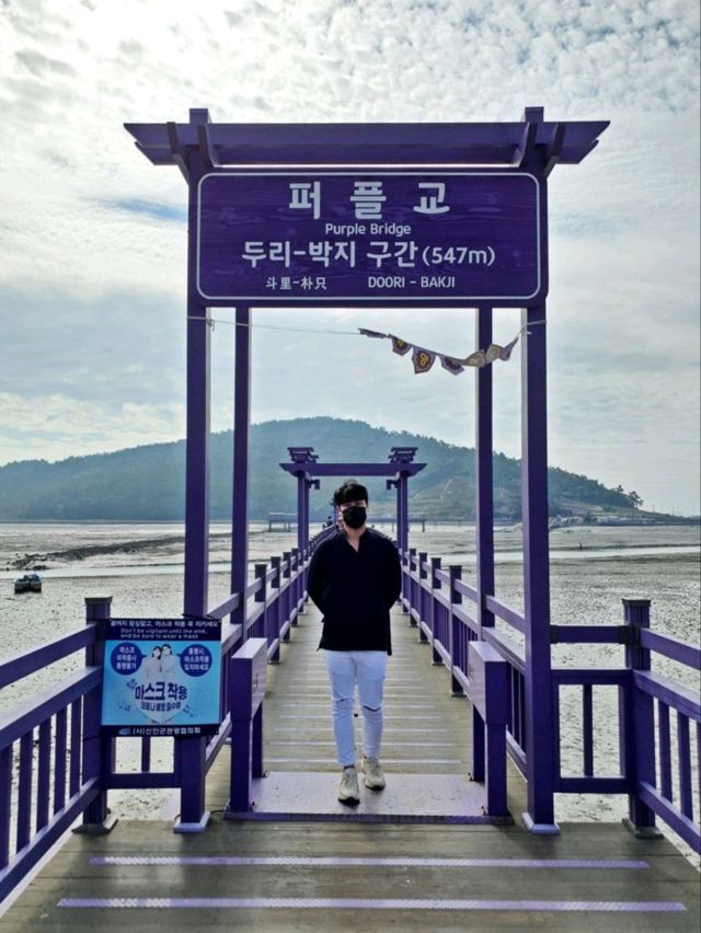 보라보라해💜세계 최우수 관광마을 전남신안 퍼플섬! 퍼플교💜💜