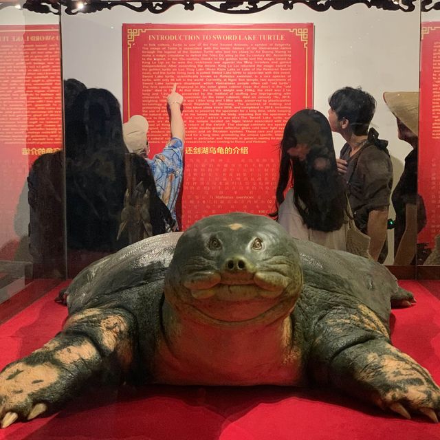 낮보다 밤이 아름다운 호안끼엠 호수