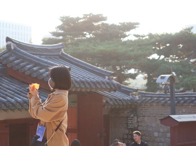 한국의 전통미 가득한 궁궐투어 ‘창덕궁’