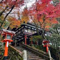 【京都】京都の最強パワースポットで紅葉