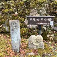 【京都】紅葉が美しい京都のパワースポット