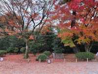 日本京都近千年的世界遺產｜平等院