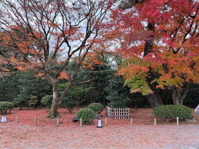 日本京都近千年的世界遺產｜平等院