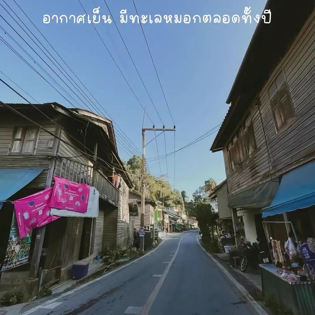 📍หมู่บ้านฮากกาเบตง แม่กำปองภาคใต้! 🌳