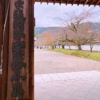 京都紅葉2022  醍醐寺の紅葉に感動