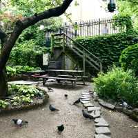 A beautiful, small oasis, FishBridge garden