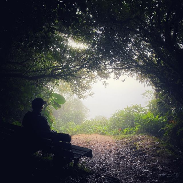 Monteverde Cloud Forest Reserve