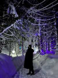 캐나다 겨울 눈꽃 불빛축제는 휘슬러 Vallea Lumina ❄️ 