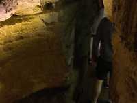 Domes and Dripstone Tour - Mammoth Cave