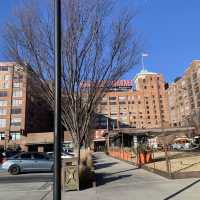 聖誕節走跳行程ponce city market