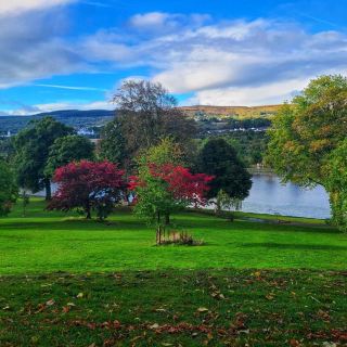 Oil Painting park 