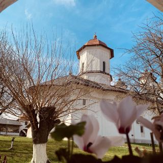 Romania- Cernica Monastery