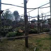 Chessington Safari Hotel