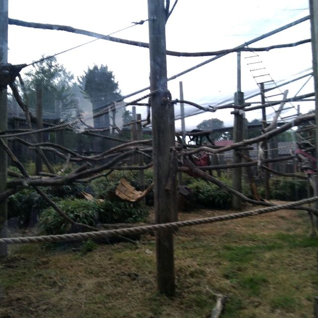 Chessington Safari Hotel