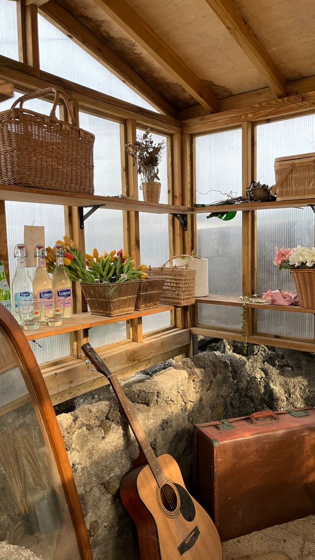 고양이가 가득한 분위기 좋은 🍊카페리🍊