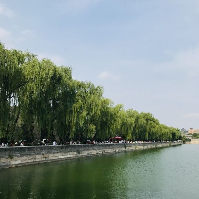 Beijing, China🌿