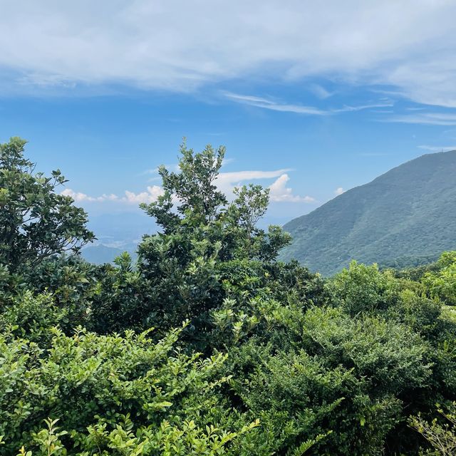 Wutong Mountain, Shenzhen🌿