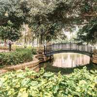 Jiulong Bonsai Garden, Zhangzhou!