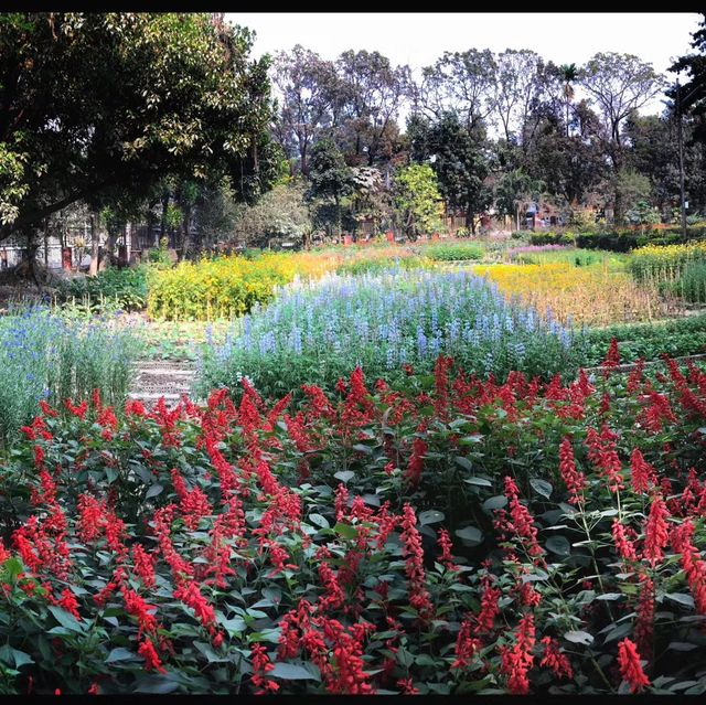 Gulshan Lake Park 