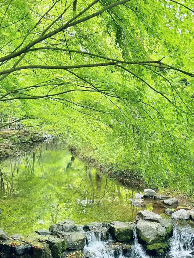 Nine Creeks + Eight Ravines - Li Langdang - Yunqi Bamboo Path