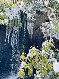 【Kyoto · Kinkaku-ji Temple in Snow · 2023】