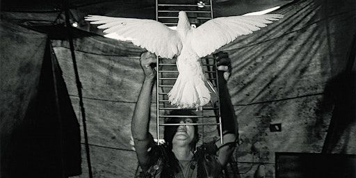 Ernesto Bazan: Raw Poetry art workshop (Washington) | Art Museum of the Americas