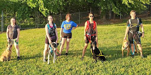 Weekly Thursday Evening Canicross Meetup- Trail Run with your Dog! | Old Reedy Creek Road Trailhead