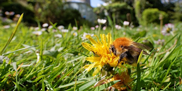 Wilder Gardens Workshop: Summer | Tyland Barn