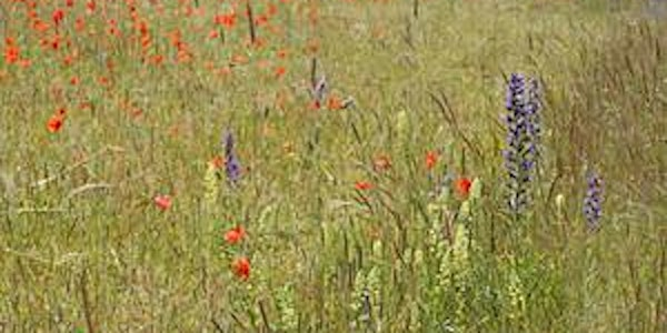 Shimpling Park Farm Tour (WG62986) | Shimpling Park Farm