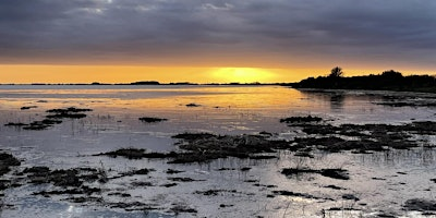 High Tide Breakfast at Gibraltar Point | Gibraltar Point National Nature Reserve