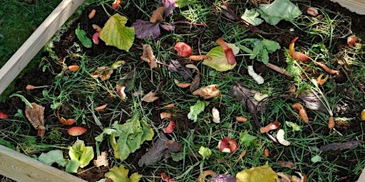 FREE In-person Workshop: Composting Basics | Compost Education Centre