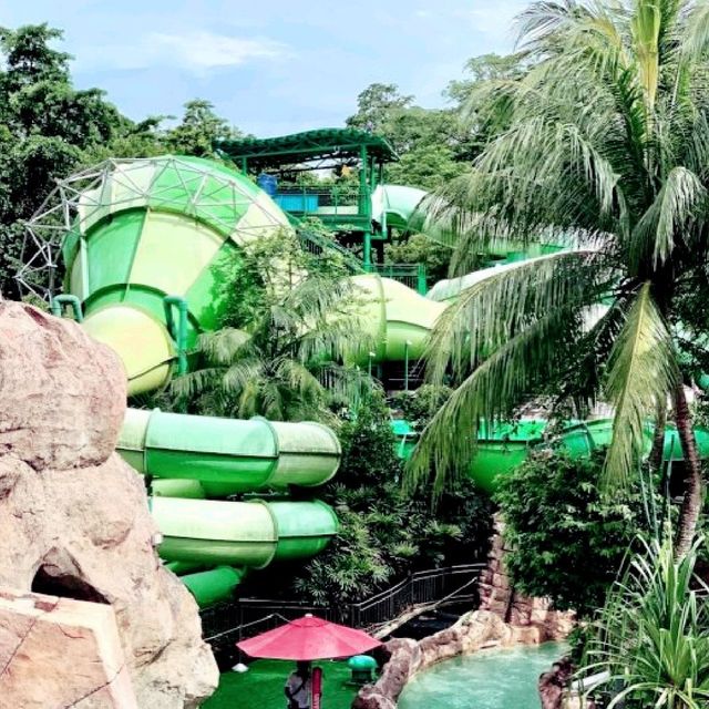 Adventure Cove Waterpark